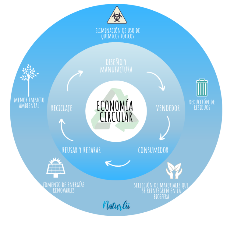 Econom A Circular Qu Es Y C Mo Ayuda A Promover La Sostenibilidad Naturlii