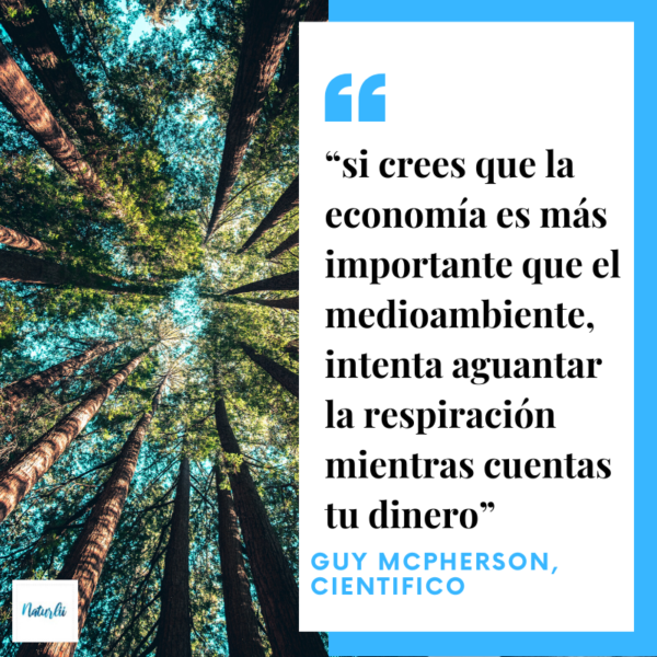 21 frases célebres sobre el medioambiente