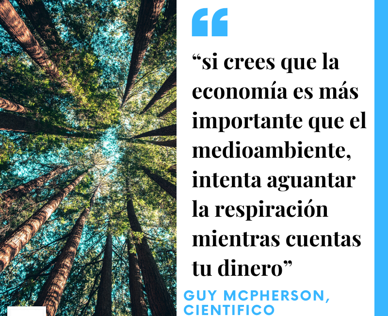 quote economia medio ambiente