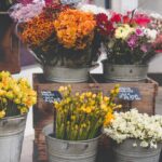 tiendas online de flores